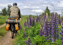 Подмосковье, Вдоль Мсты через подвесные мосты