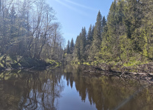 Подмосковье, Сплав на байдарках по реке Осуга (разведка)