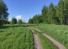 Подмосковье, Пеший поход "Заповедные Владимирские леса"