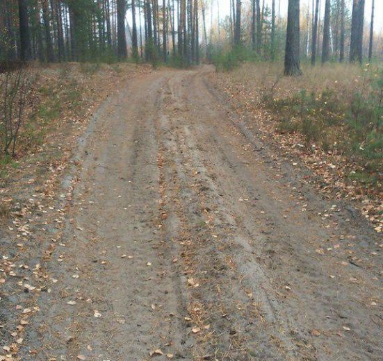Пеший поход «Из Владимира в Суздаль» (Владимирская область)