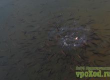 Сибирь, Сплав по реке Олекма