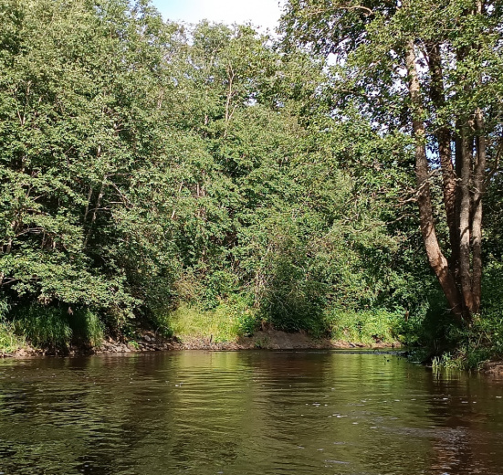 Северо-Запад, Сплав по реке Вьюн на пакрафтах (с трансфером)