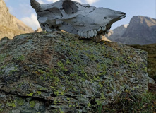 Киргизия, В стране эдельвейсов: пеший поход по Центральному Тянь-Шаню (Терскей-Алатау)