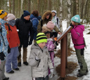 Северо-Запад, Прогулка по ЭКО тропе "Сестрорецкое болото" для родителей с детьми