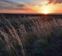 Юг России, Путешествие по Астраханской области