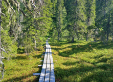Карелия, У самого Полярного Круга: в нацпарк Паанаярви с детьми