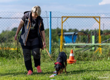 Подмосковье, Дог лагерь Лапка путешествий