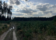 Подмосковье, К НЛО через Голубое озеро