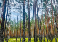 Селигер, Дикий Селигерский край - водный поход