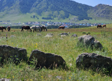 Алтай, Алтайский Экспресс. Сплав по рекам Урсул, Кумир, Катунь с автосопровождением