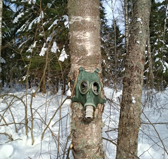 ТроПешка (однодневный пеший поход)