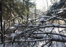 Подмосковье, Пеший поход - Зосимова Пустынь