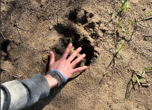 Урал, Сплав по реке Нугуш (разведка)