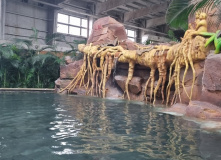 Китай, Китай и острова Владивостока (разведка)