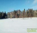 Подмосковье, Лыжная прогулка Радищево - Снегири - Подмосковье