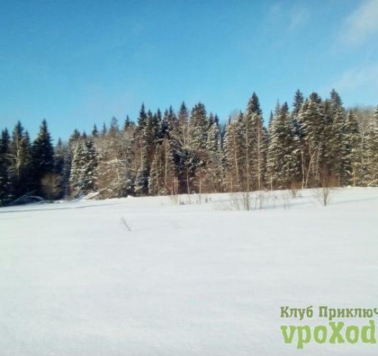 Лыжная прогулка Радищево - Снегири - Подмосковье