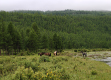 Сибирь, Восточный Саян: сплав по реке Диби и Ока Саянская на байдарках