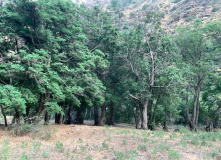 Узбекистан, Лето, весна, зима и снова лето: пеший поход по весенним горам Западного Тянь-Шаня