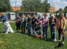 Подмосковье, Дог лагерь Лапка путешествий