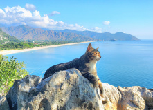 Турция, Велопоход по Турции. Приключения продолжаются!