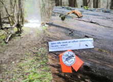 Подмосковье, Пеший поход "В глубь веков"