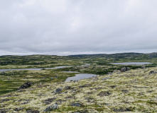 Кольский, Пеший поход в Дальние Зеленцы (разведка)