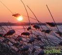 Подмосковье, Лыжный поход с ночевкой в коттедже – Зимний Селигер – Тверская область