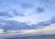 Карелия, Хранители Соловецких островов: семейное путешествие к белым китам