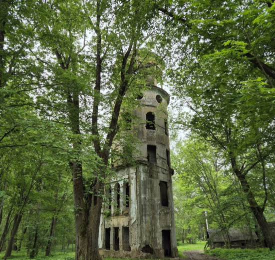 Царство болот: красоты Полистовского заповедника (разведка)