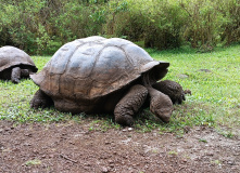 Центральная и Южная Америка, От вулканов до океана. Большой тур по Эквадору и Галапагосам