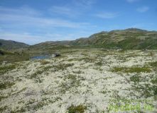 Кольский, Полуостров Средний Баренцева моря