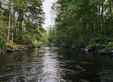 Северо-Запад, Сплав по реке Тихая с выходом в Ладогу