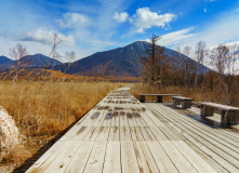 Япония, Осень у подножия Фудзиямы