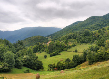 Сербия, Великий горный край: природа западной Сербии (комфорт-тур в национальный парк Тара)