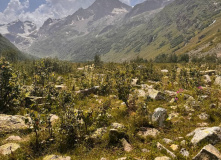 Кавказ, Гвандра. Горные треккинги для взрослых и детей (в палатках)