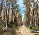 Северо-Запад, Вдоль Мсты через подвесные мосты