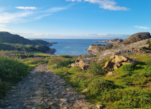 Кольский, Русская Норвегия: поход в Лиинахамари (разведка)