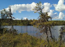 Карелия, У самого Полярного Круга: в нацпарк Паанаярви с детьми