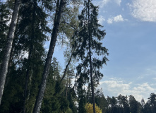 Подмосковье, К НЛО через Голубое озеро