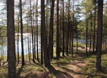 Прибалтика, Вело-выходные в Эстонии