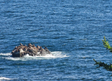 Сахалин, Сахалино-Камчатский вояж: по следам Крузенштерна (активный комфорт-тур)