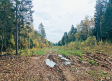 Подмосковье, Хлюпай из Хлюпино