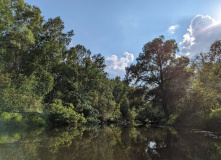 Подмосковье, Однодневный сплав по реке Дубна с прогулкой и обедом на Ферме