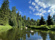 Северо-Запад, Трекинг по Оредежским берегам