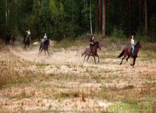 Подмосковье, Путешествие с катанием на лошадях - Лесные сказки - Нижегородская область