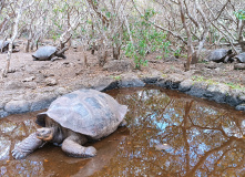 Центральная и Южная Америка, От вулканов до океана. Большой тур по Эквадору и Галапагосам