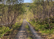 Кольский, Пеший поход в Дальние Зеленцы (разведка)