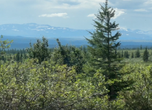 Урал, Тайны Югыд ва: восхождение на г. Народная и сплав по рекам Балбанью и Кожим