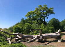 Северо-Запад, Детский велопоход в Лукоморье