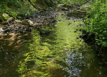 Подмосковье, Золотьковский водопад и Ратовский овраг